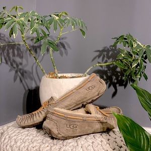 UGG Dakota Moccasins Pewter Size 10